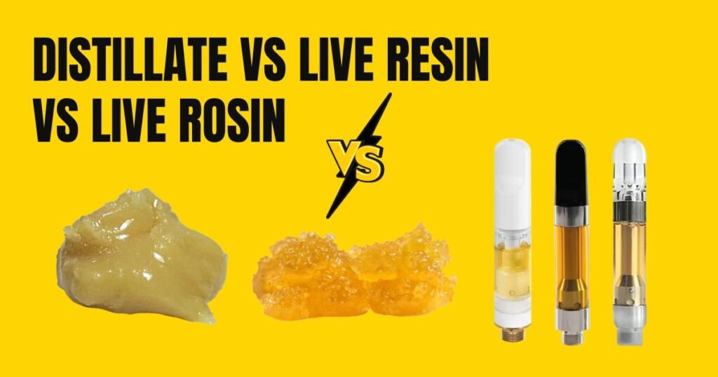 Is Live Resin Better Than Distillate